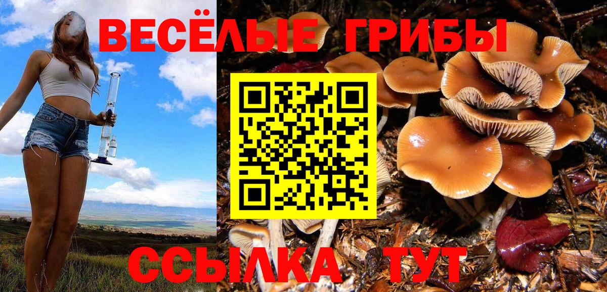 Псилоцибиновые грибы прущие грибы  Вход с VPN  дарнет шоп  Псилоцибиновые грибы мицелий  Киров 